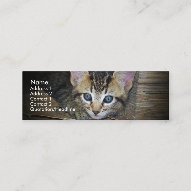 Visite Mini Carte de profil de chaton (Devant)