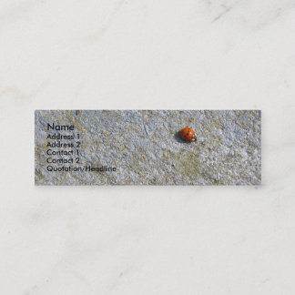 Visite Mini Carte de profil de coccinelle