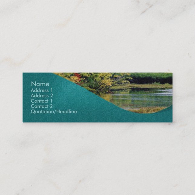 Visite Mini Carte de profil de solde (Devant)