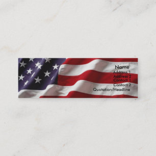 Visite Mini Carte de profil d'indicateur USA #1