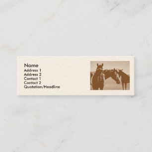 Visite Mini "Trois chevaux Brown" ont customisé la carte de