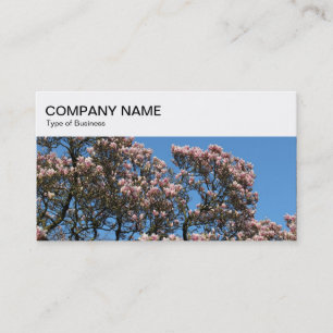 Visite Panneau supérieur - Magnolia Blossom Carte de visi