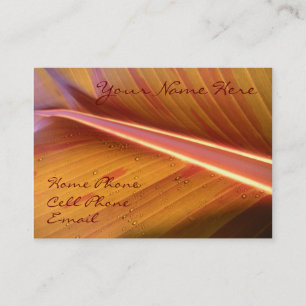 Visite Point de carte légère de profil