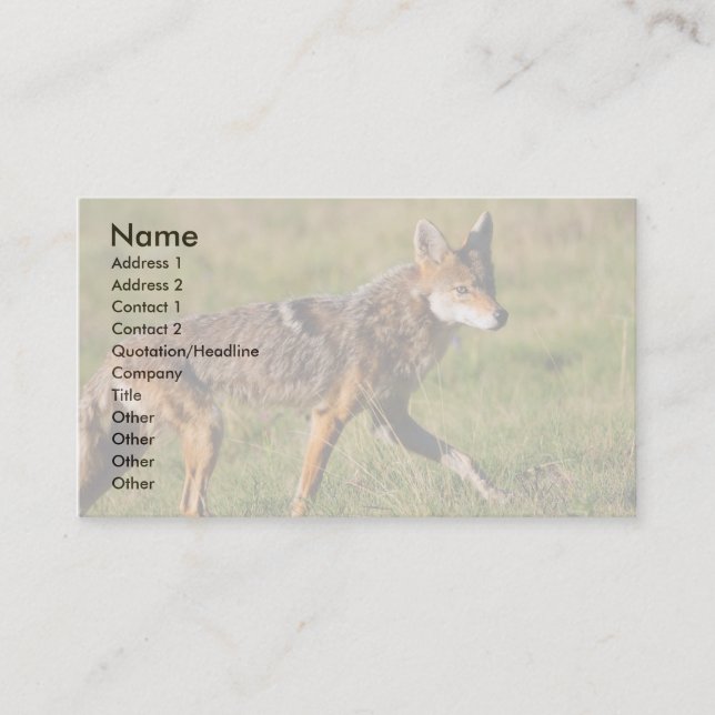 Visite profil ou carte de visite, coyote (Devant)