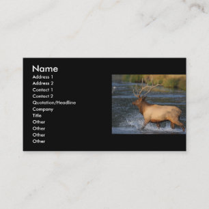 Visite profil ou carte de visite, éclaboussure d'élans