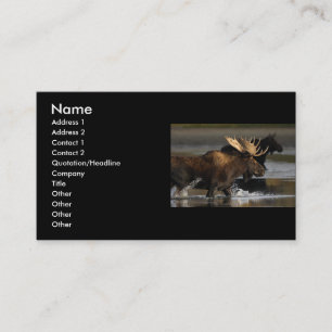 Visite profil ou carte de visite, éclaboussure d'orignau