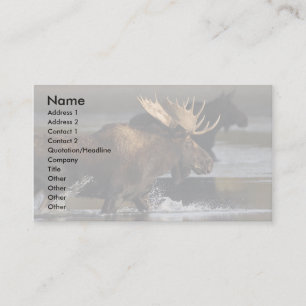 Visite profil ou carte de visite, éclaboussure d'orignau