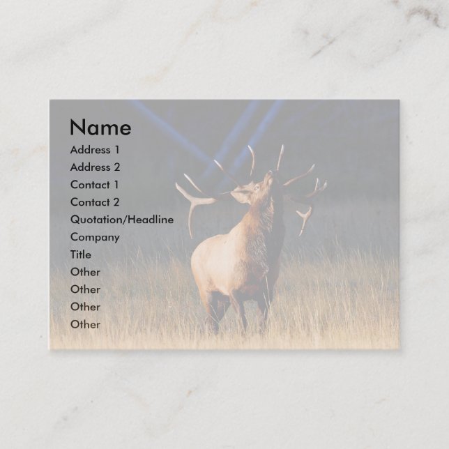 Visite profil ou carte de visite, élan (Devant)