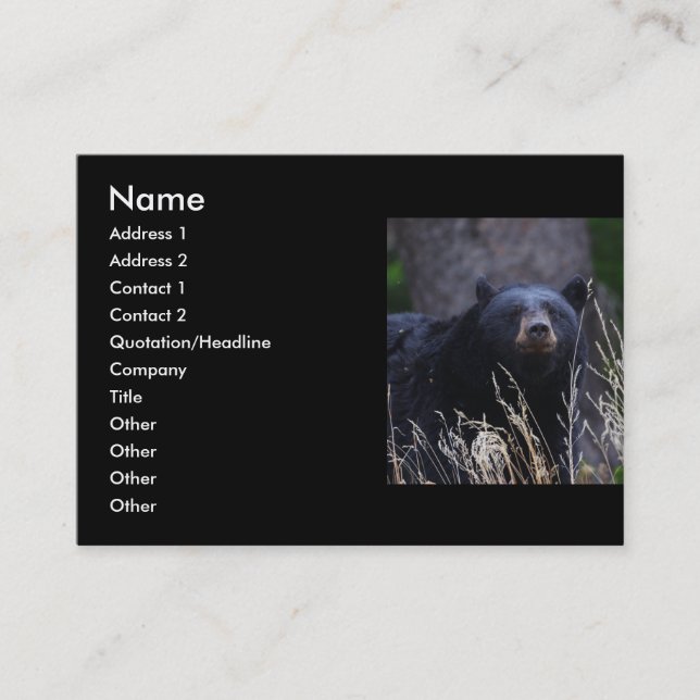 Visite profil ou carte de visite, ours noir (Devant)
