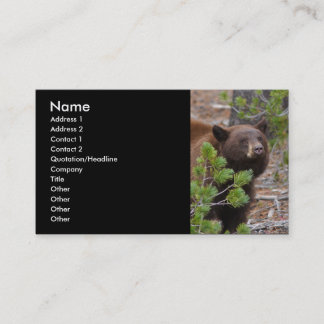 Visite profil ou carte de visite, ours noir