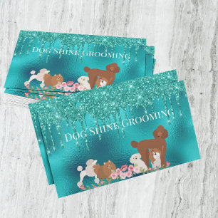 Visite Robin's Oeuf Blue Chig Grooming Carte de rendez-vo