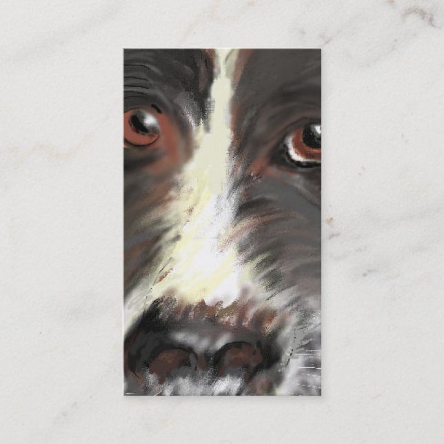 Visitenkarte, Border-Collie-Rettung Visitenkarte (Vorderseite)