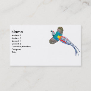 Visitenkarte Damen-Amherst Pheasant