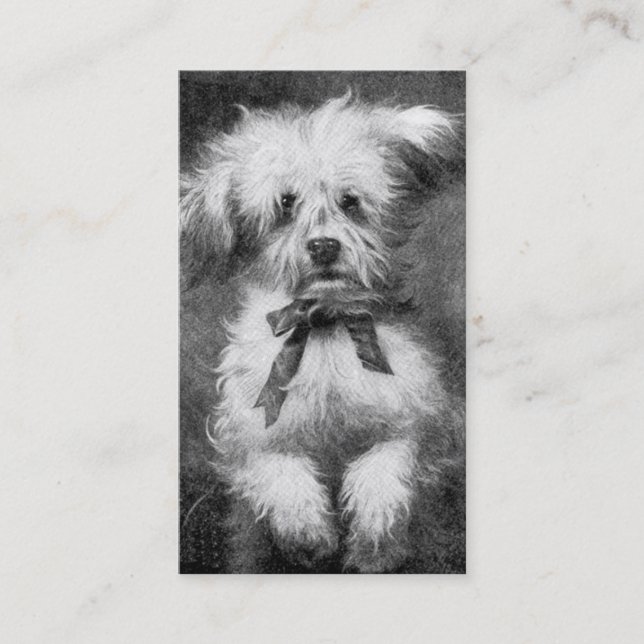 Visitenkarte Fluffiger Hund (Vorderseite)