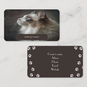 Visitenkarte für Cattery Ragdoll