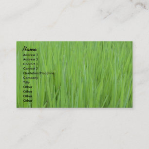 Visitenkarte-Schablone - grünes Visitenkarte