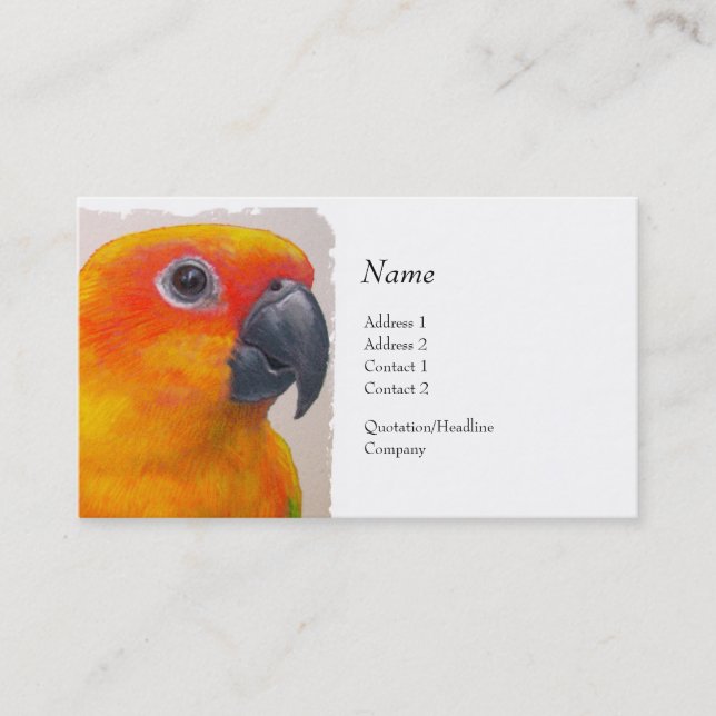 Visitenkarte - Sun Conure (Vorderseite)