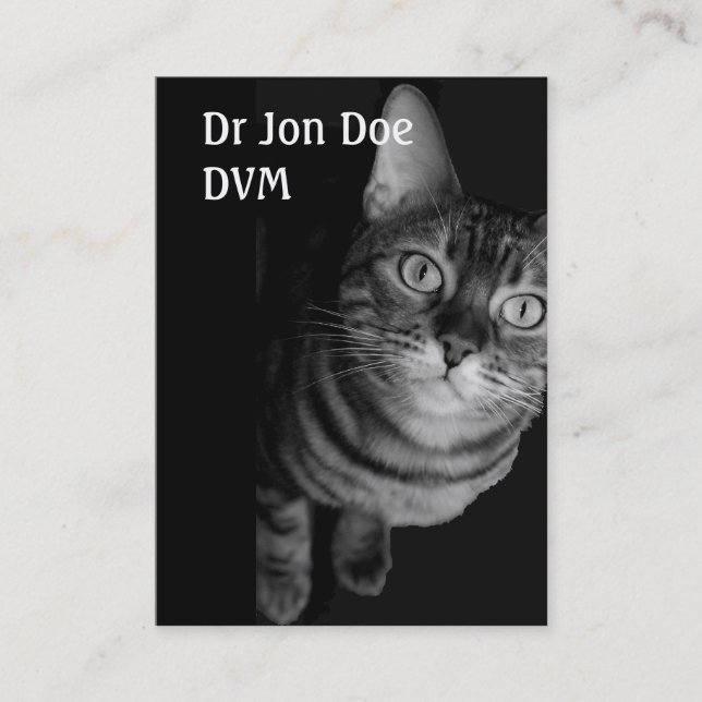 Visitenkarte V (Vorderseite)