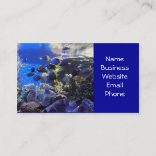 Visitenkarten des Aquariums 2 Visitenkarte