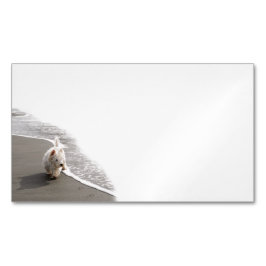 Visitenkarten für das Westie Foto Magnetische Visitenkarte