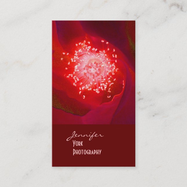 Visitenkarten für Rote Rose-Fotografie Visitenkarte (Vorderseite)