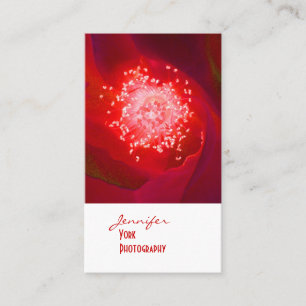Visitenkarten für Rote Rose-Fotografie Visitenkarte