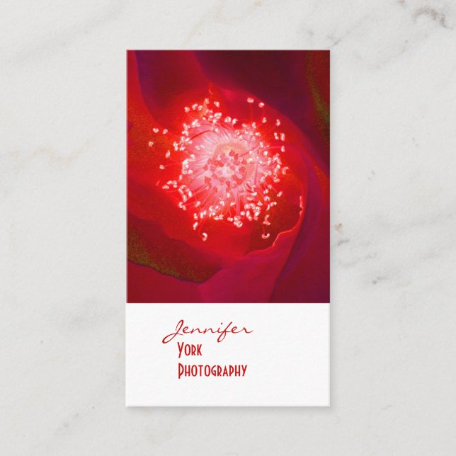 Visitenkarten für Rote Rose-Fotografie Visitenkarte (Vorderseite)