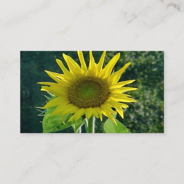 Visitenkarten für Sonnenblumen Visitenkarte (Vorderseite)