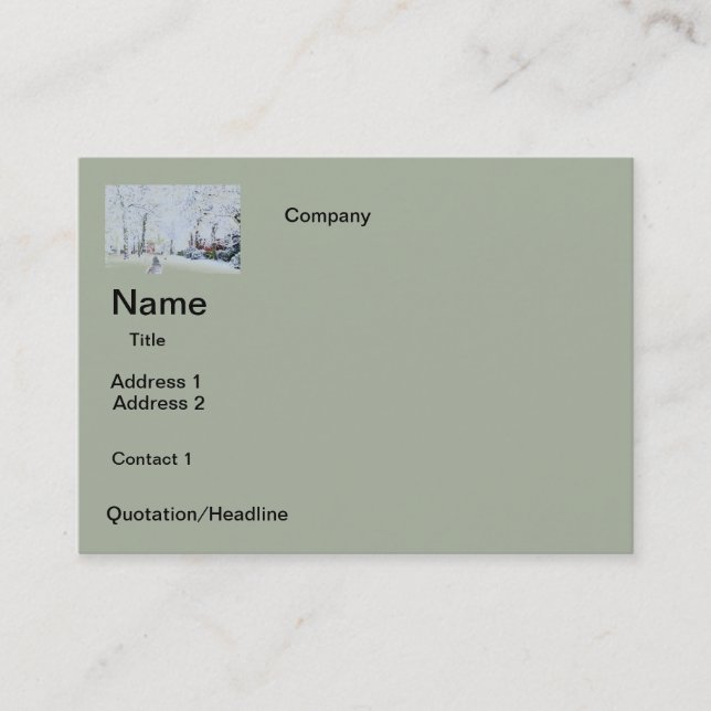 Visitenkarten SCHNEE-ENTWURF Visitenkarte (Vorderseite)