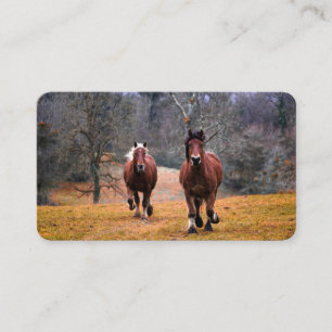 Visitenkarten Visitenkarte