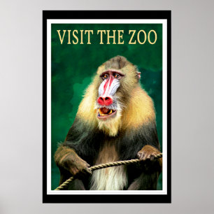 Visitez le Zoo, affiche de voyage vintage