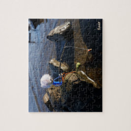 Vissende Fubby op een steen.