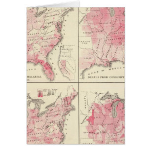 Vitalkarten der Staaten