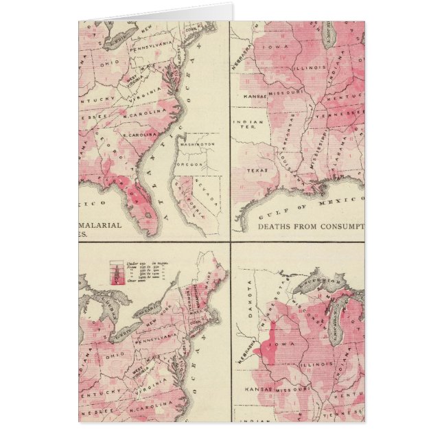 Vitalkarten der Staaten (Vorne)