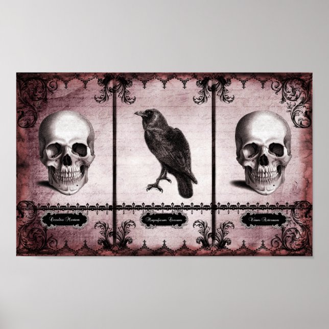 Vitam Aeternam Poster (Vorne)