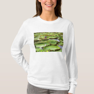 Vitoria Regis, Riesenseerosen in Amazonien T-Shirt