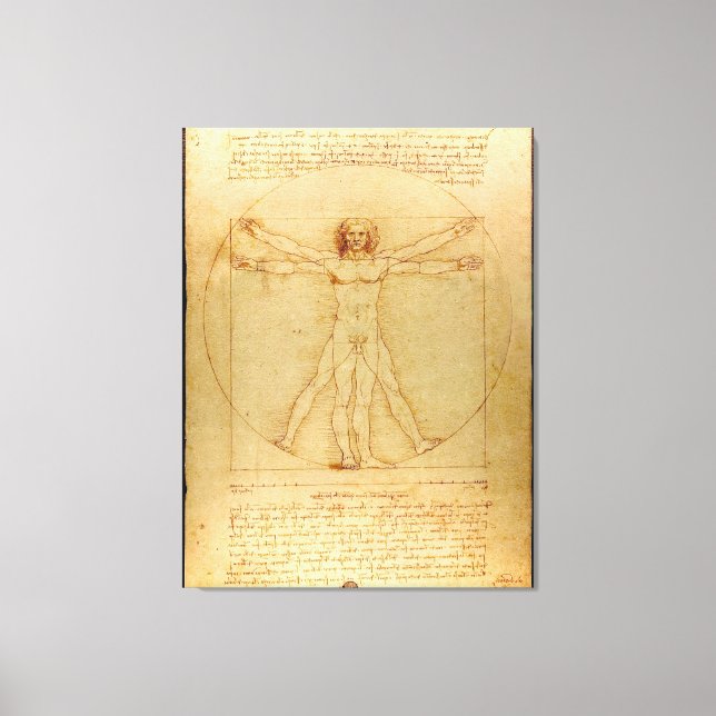 Vitruve Luc Viatour von Leonardo da Vinci Leinwanddruck (Vorderseite)