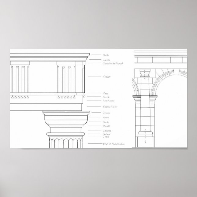 Vitruvian Details Poster (Vorne)