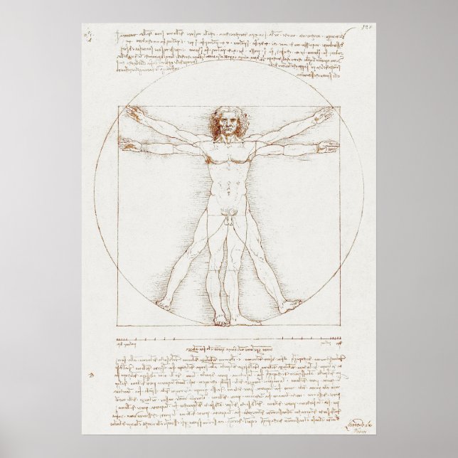 Vitruvian Man Da Vinci Poster (Vorne)