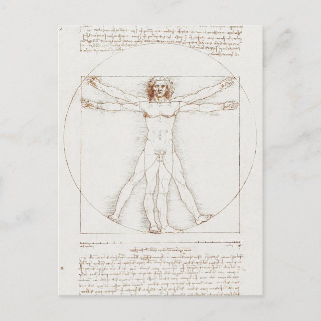 Vitruvian Man Da Vinci Postkarte (Vorderseite)