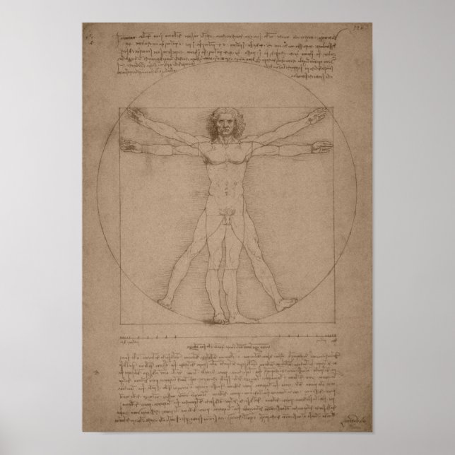 Vitruvian Man — Leonardo da Vinci Poster (Vorne)