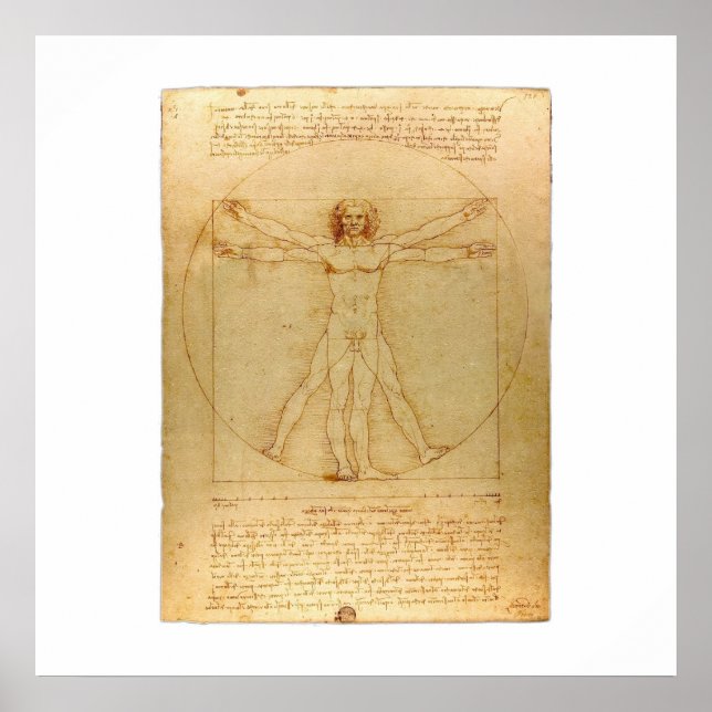 Vitruvian Man Poster (Vorne)