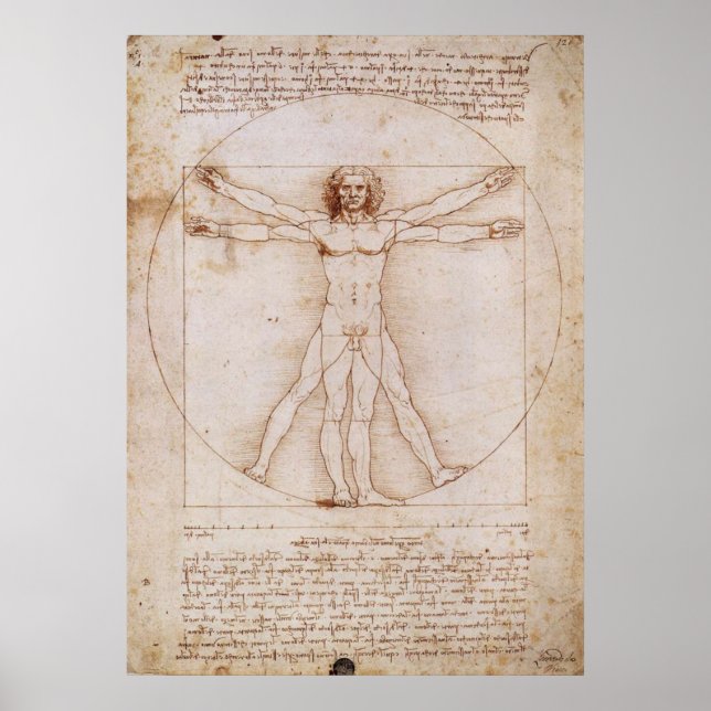 Vitruvian Man Poster (Vorne)