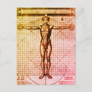 Vitruvian Man (Vitruvius: De architectura) Postcar Postkarte