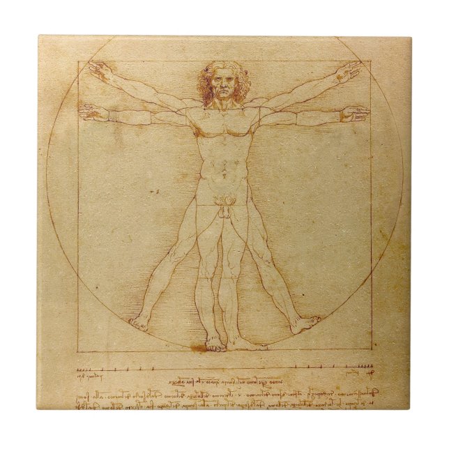 Vitruvian Man von Leonardo Da Vinci Fliese (Vorderseite)