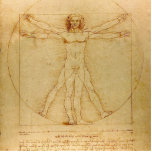 Vitruvian Man von Leonardo Da Vinci Freistehende Fotoskulptur<br><div class="desc">Vitruvian Man von Leonardo Da Vinci.</div>
