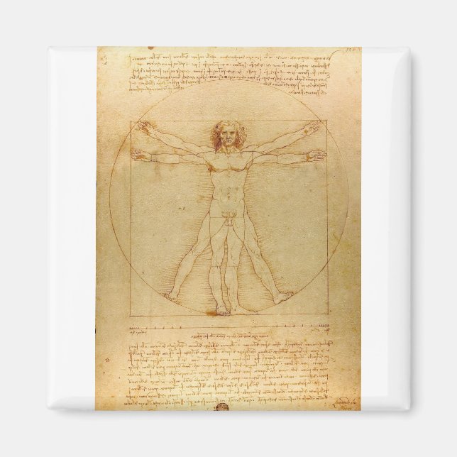 Vitruvian Man von Leonardo da Vinci Magnet (Vorne)