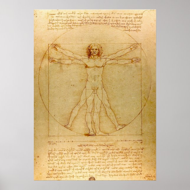 Vitruvian Man von Leonardo da Vinci Poster (Vorne)