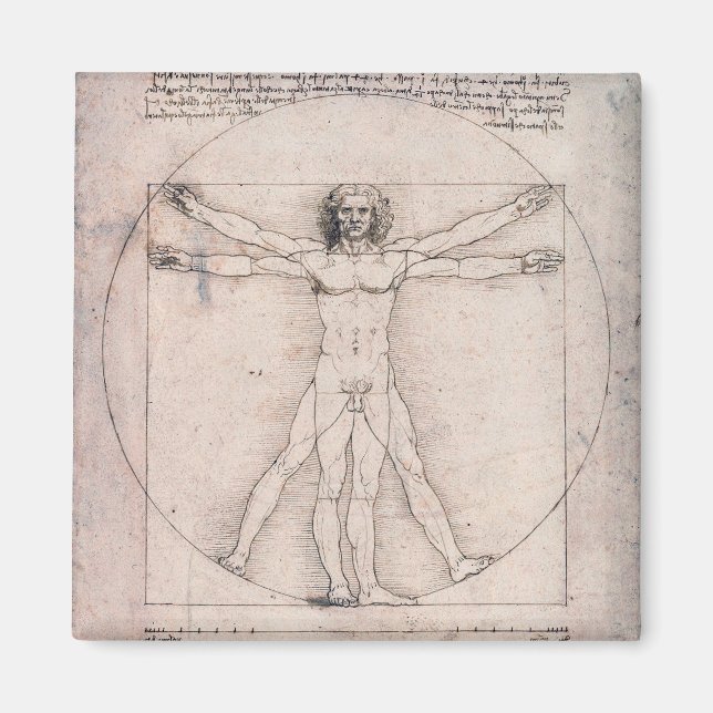 Vitruvian ManVitruvian Man, Leonardo da Vinci Magnet (Vorne)