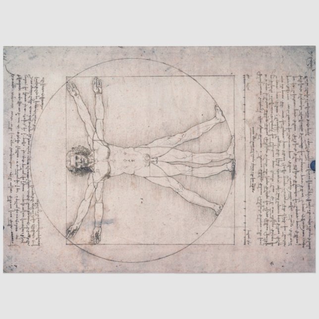 Vitruvian ManVitruvian Man, Leonardo da Vinci Seidenpapier (Vorderseite)